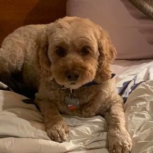 Meet your Posher, Lina